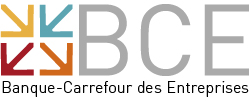BCE Banque Carrefour des Entreprises Belgium KBO Belgium logo